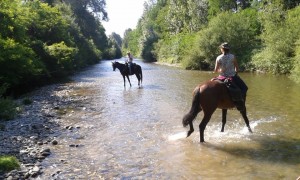 passeggiate2